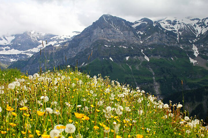 Paysage de la région des Dents du Midi